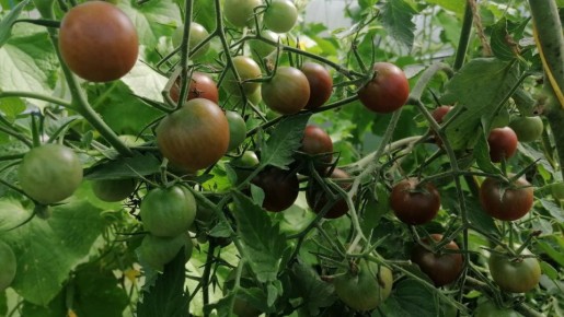 ����� � �������: ��������� ��������� ��� ������� �� �������