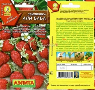 ������� ��������� ����������� ������������ ��������