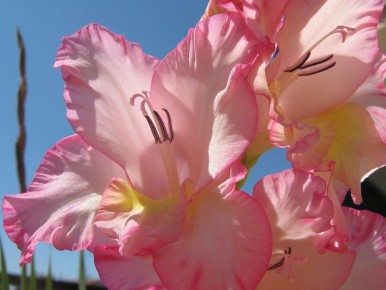 ��� ��������� ����� ��������� � ��������� � ����: ������� ��������� �����