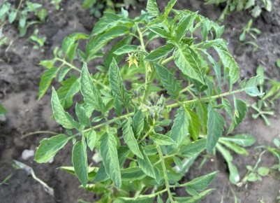 �������� �������: ��� ����� ����� ����������