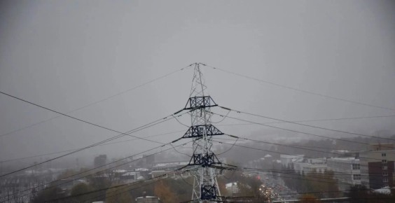 ��������� ������: ����������� ��������� ��������� ����������� �������� �����������������