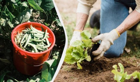 ������ ������ ��� ������: ���� ����� �������� �� ������