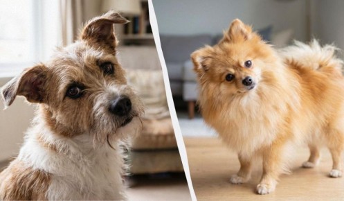 ������ ������ ��������� ������: ������� �� ������� � ������