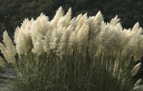 ��� ��������� ��������� �����: ��� �� ����� � ������� �������