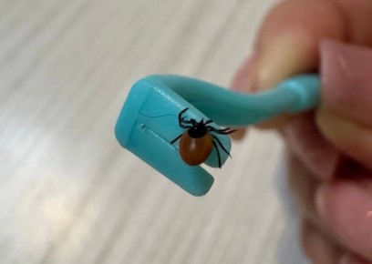 �� ������������ ������� ���������� ��� �������� �����