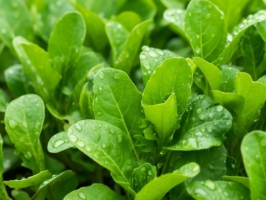 ���� � ����: ��� ��������, ����� ������ ������� ������ �� ��������?