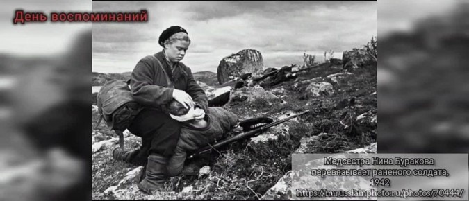 � 81-� ��������� ������� ������