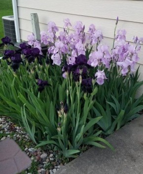 ������� ��������� ������� � ��������� ��������� ������