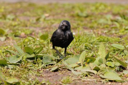 ��� � ������������� �������� ������� ������ ��������, ��� ��������� ��������� ��������� � �������� � ����� ������