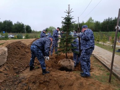 ������������ ����������� �������� ������� �� ����� ������