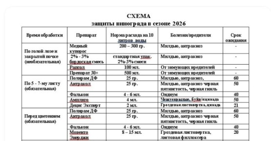 �������� ������ ������������: ������� ����� � ���� �� ������ � 2026 ����
