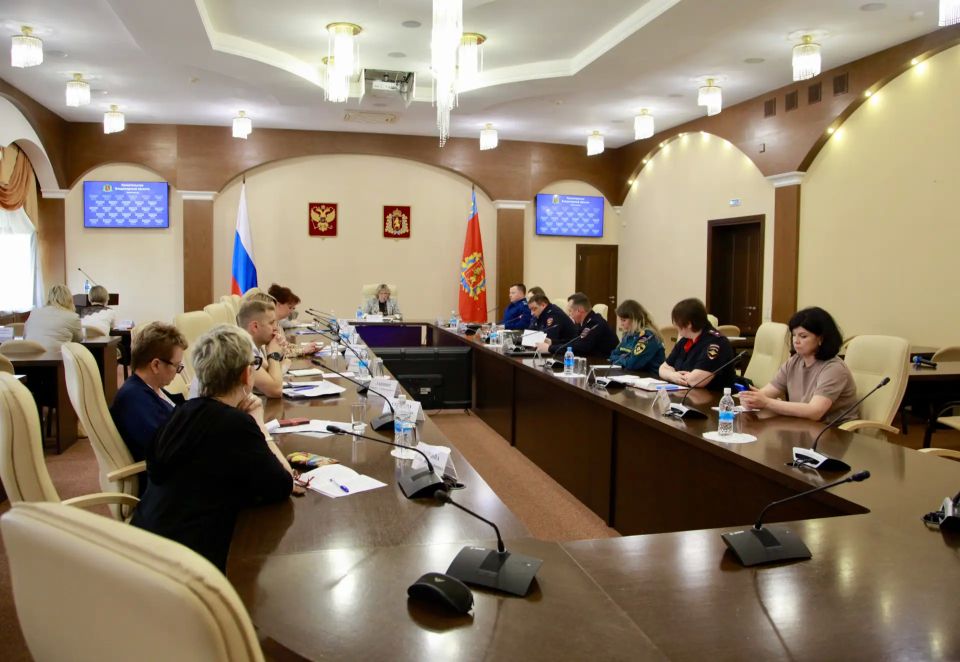 Сотрудник следственного управления СК принял участие в заседании Комиссии по делам несовершеннолетних и защите их прав Владимирской области