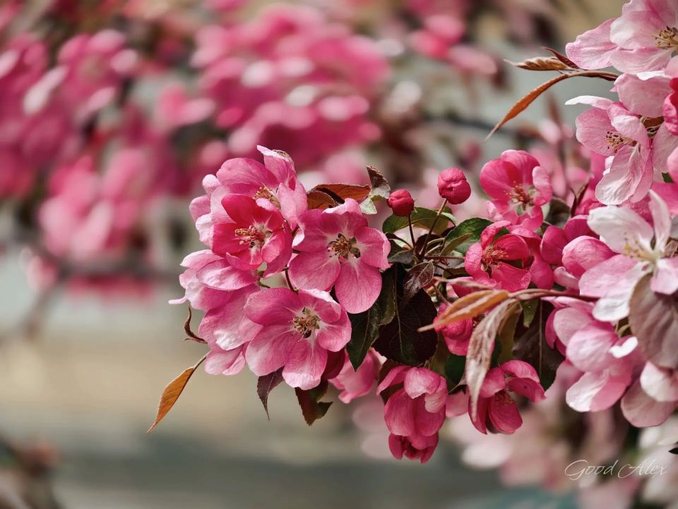 Доброе утро! Есть во Владимире места, где время будто замирает Доброе утро! Есть во Владимире места, где время будто замирает