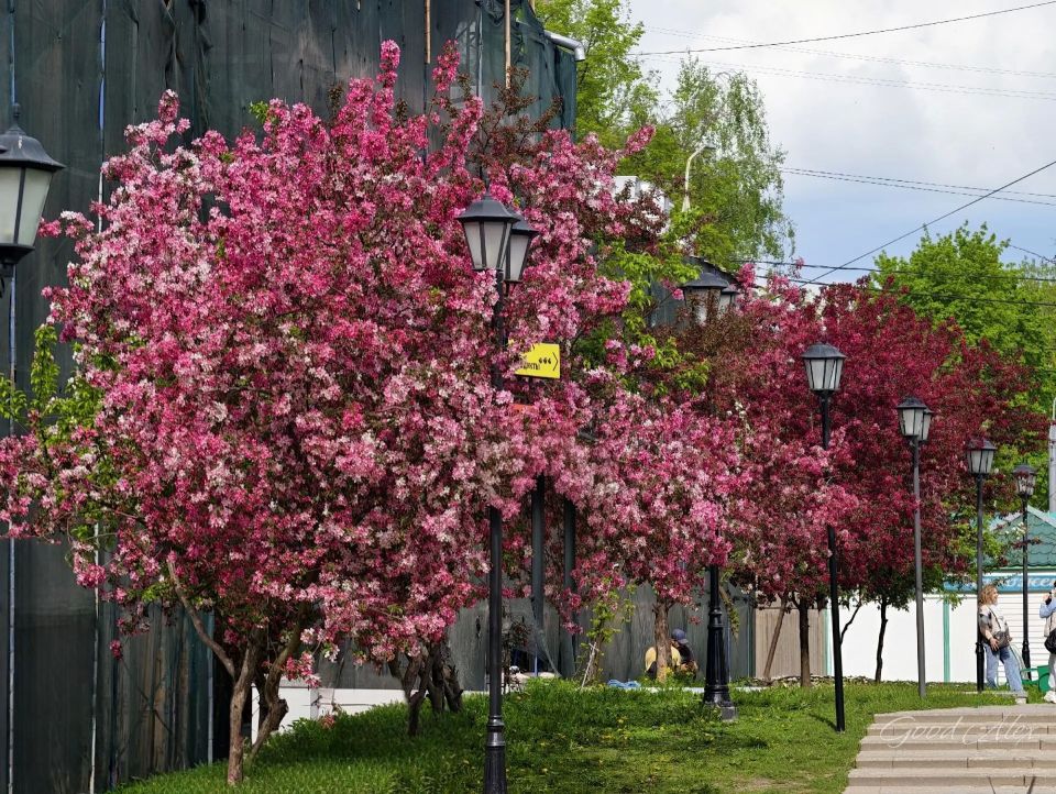 Доброе утро! Есть во Владимире места, где время будто замирает