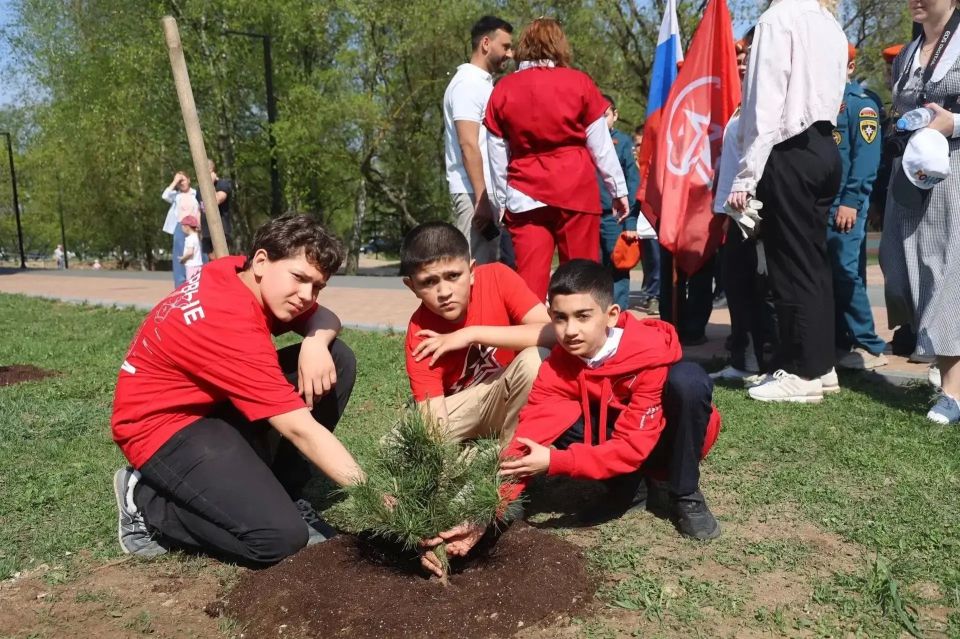 В рубрике #лучшийкейс сегодня расскажем о практике из Владимирской области - обновленный Бульвар художника Иванова в городе Владимир! В рубрике #лучшийкейс сегодня расскажем о практике из Владимирской области - обновленный Бульвар художника Иванова в городе Владимир!