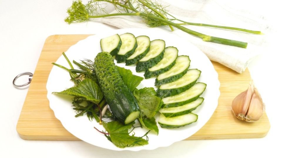Малосольные огурцы за сутки: простой и вкусный летний рецепт с минеральной водой