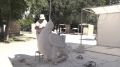 ������ ������������� ��������� ����������� ��������� � ������������ ������� ����� ��������