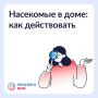 ������ � ���������� � ��������������� ����