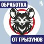 Внимание, обработка от грызунов!