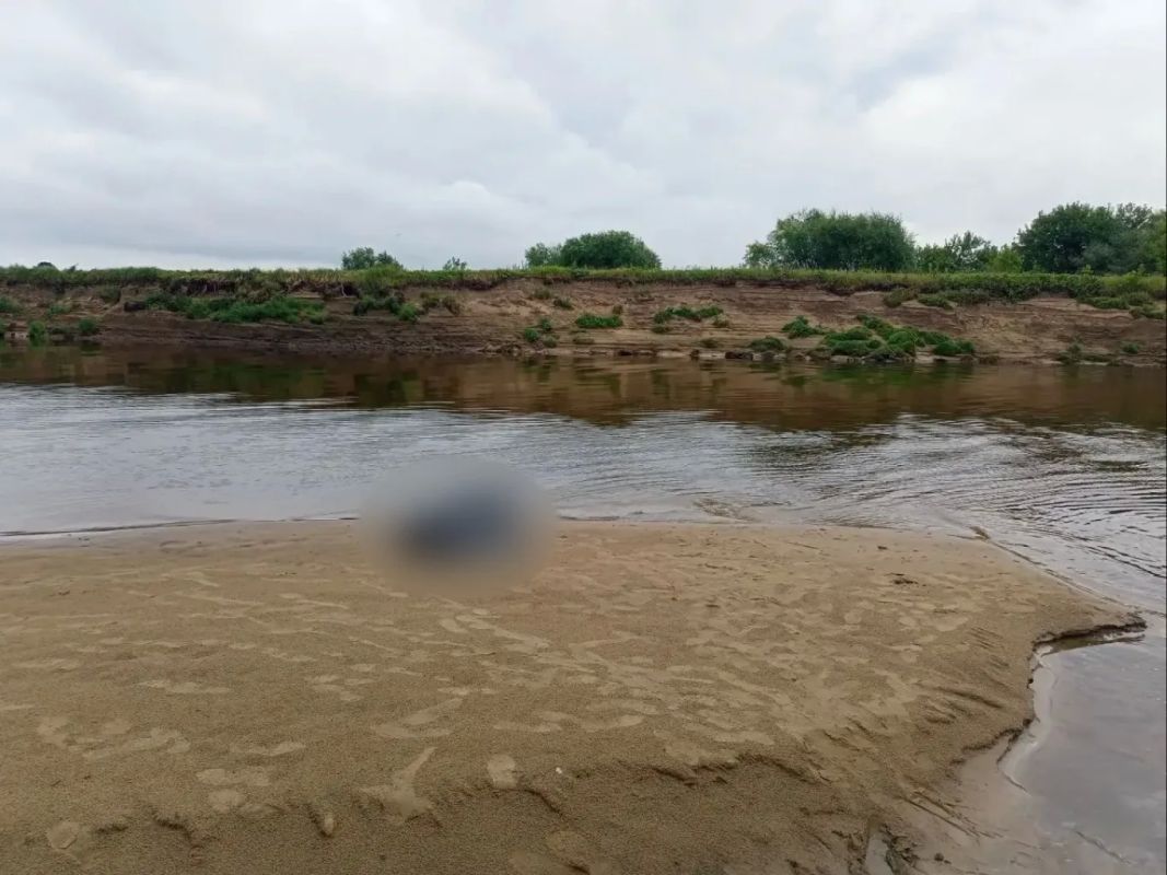 В Гороховце следователями СК проводится проверка по факту гибели в реке 6-летнего ребенка и его дедушки В Гороховце следователями СК проводится проверка по факту гибели в реке 6-летнего ребенка и его дедушки