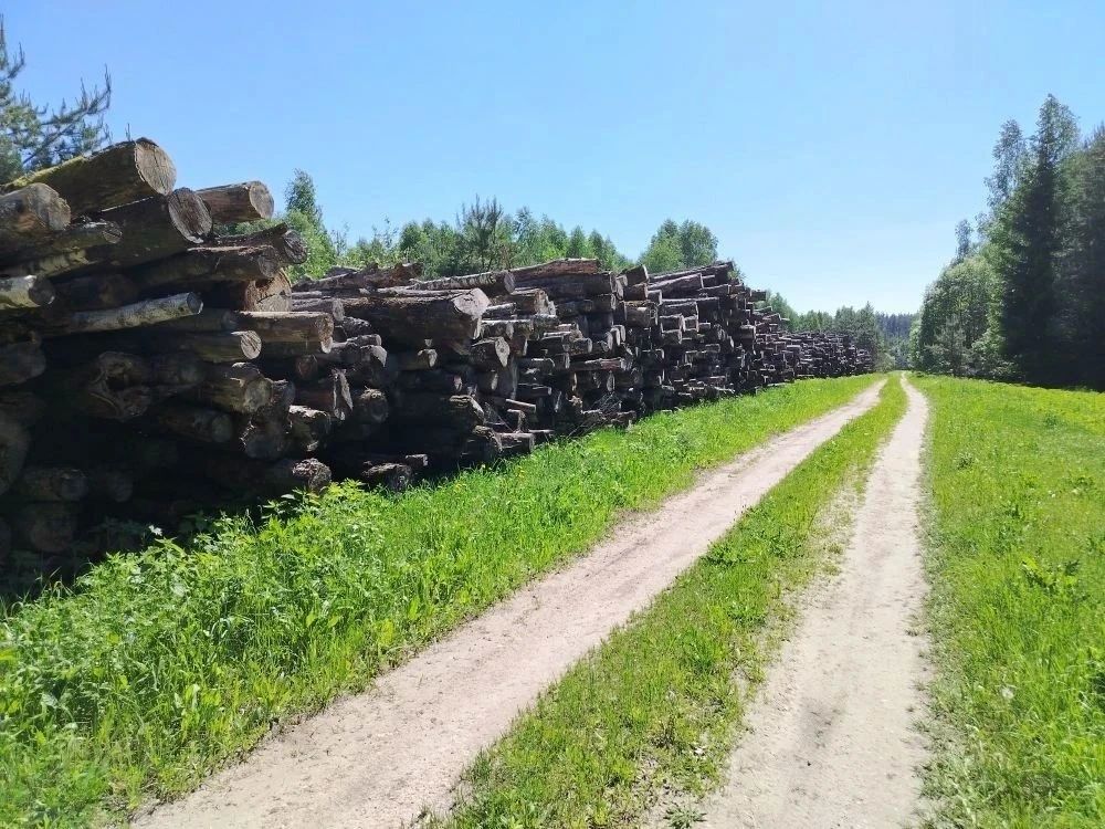 В Гороховце лесопользователям, самовольно занявшим земельные участки под складирование заготовленной древесины, на основании постановлений прокурора назначены крупные штрафы В Гороховце лесопользователям, самовольно занявшим земельные участки под складирование заготовленной древесины, на основании постановлений прокурора назначены крупные штрафы