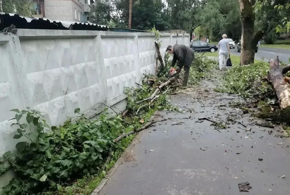 Во Владимире несколько упавших деревьев повредили линии электропередач Во Владимире несколько упавших деревьев повредили линии электропередач