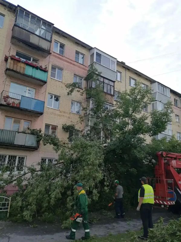 Во Владимире несколько упавших деревьев повредили линии электропередач Во Владимире несколько упавших деревьев повредили линии электропередач