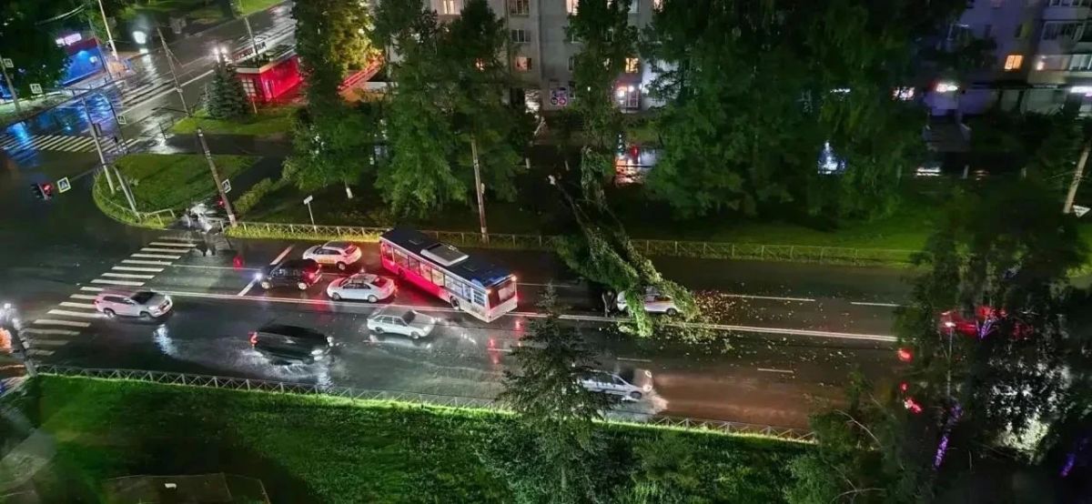 Во Владимире несколько упавших деревьев повредили линии электропередач Во Владимире несколько упавших деревьев повредили линии электропередач