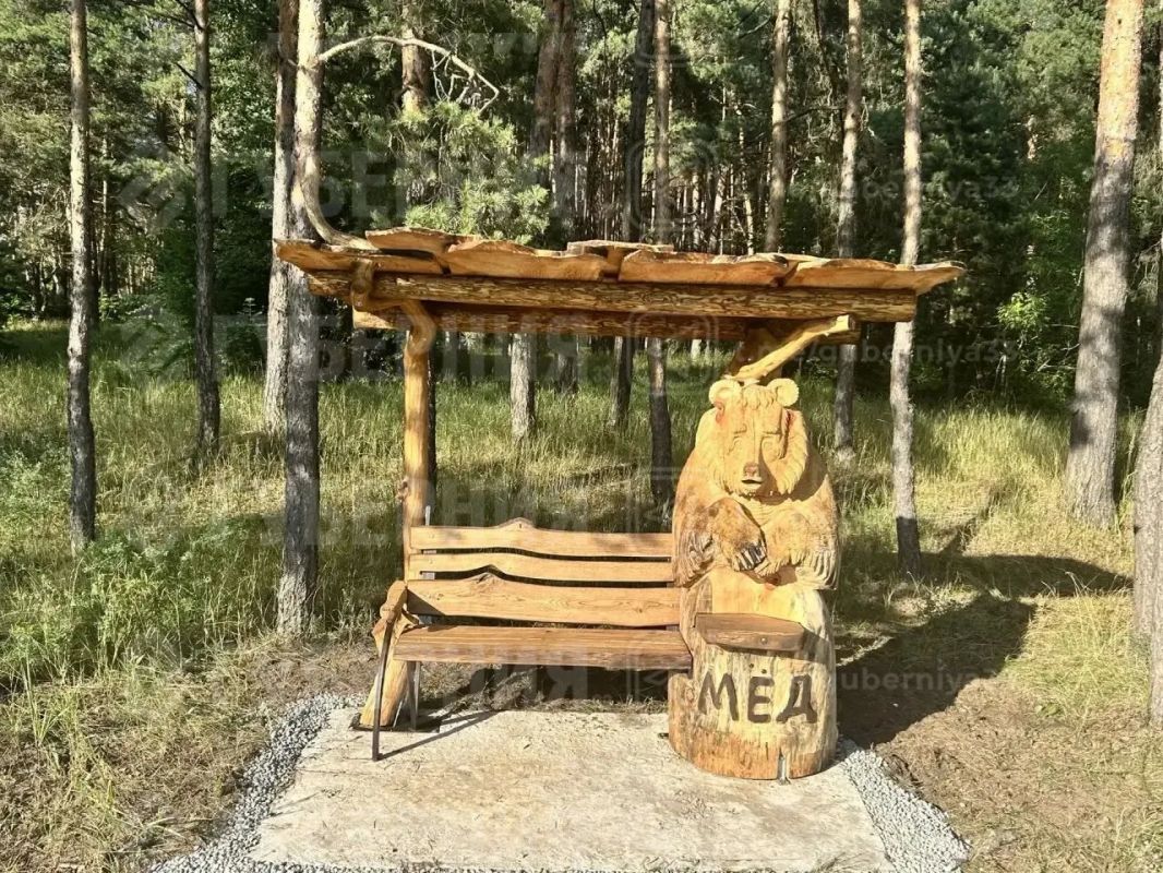 В загородном у министерства лесного хозяйства поставили медведя с лавочкой В загородном у министерства лесного хозяйства поставили медведя с лавочкой
