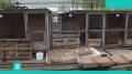 19 июля в доброцентре «Дорога добра» пройдет ежемесячный День приюта