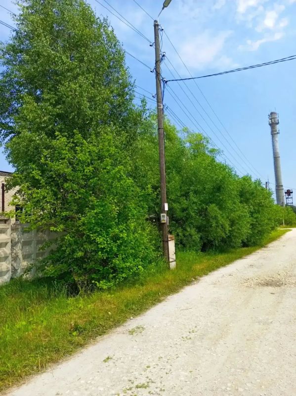 В Красной Горбатке прокуратура района добивается надлежащего содержания линий электропередачи В Красной Горбатке прокуратура района добивается надлежащего содержания линий электропередачи