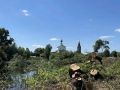 В Суздале приступили к расчистке территории вокруг пруда на улице Коровники