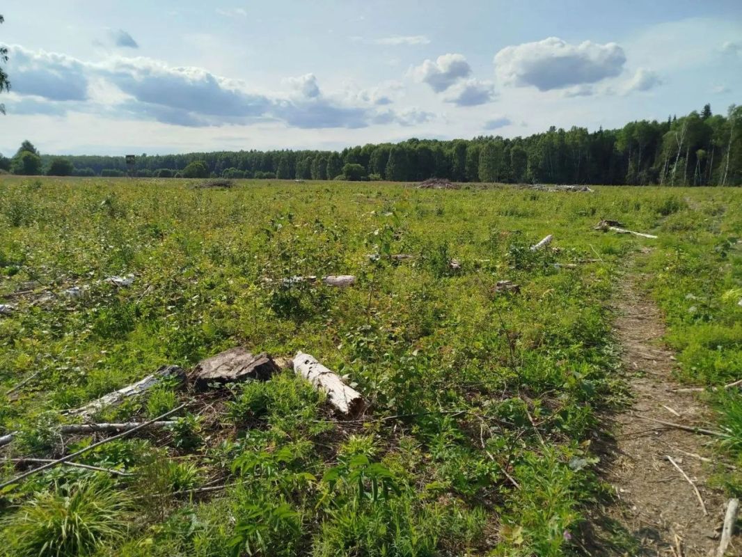 В Гороховце прокуратура добивается устранения нарушений лесного законодательства В Гороховце прокуратура добивается устранения нарушений лесного законодательства