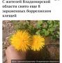 По поводу присасывания клещей за неделю в медучреждения обратилось 105 человек, в том числе 23 ребёнка