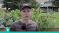 Владимиро-Суздальский музей заповедник проводит инклюзивные занятия на свежем воздухе