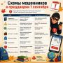 Чем ближе День знаний, тем активнее становятся мошенники