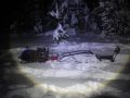 По иску прокурора Камешковского района с браконьера судом взыскан ущерб, причиненный государству вследствие незаконной добычи дикого животного