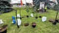 «Аллея России» во Владимире