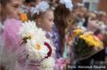 Во Владимире линейки к 1 сентября пройдут в закрытом и сокращенном формате