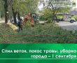 Сегодня, 1 сентября, проводится ямочный ремонт дорог на ул. Пионерской, ул. Федорова, ул. Еловой, ул. Щорса