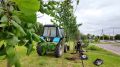 Во Владимире продолжается комплексное озеленение городских территорий