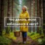 Безопасность в лесу: простые правила, которые могут спасти жизнь