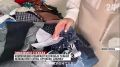 «Тёплая» мозаика одного города: 30 крымских мастеров создают панно из ткани для Владимирской области