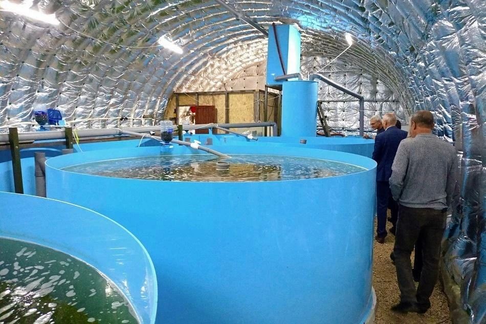 Когда работа — это дело всей семьи Когда работа — это дело всей семьи