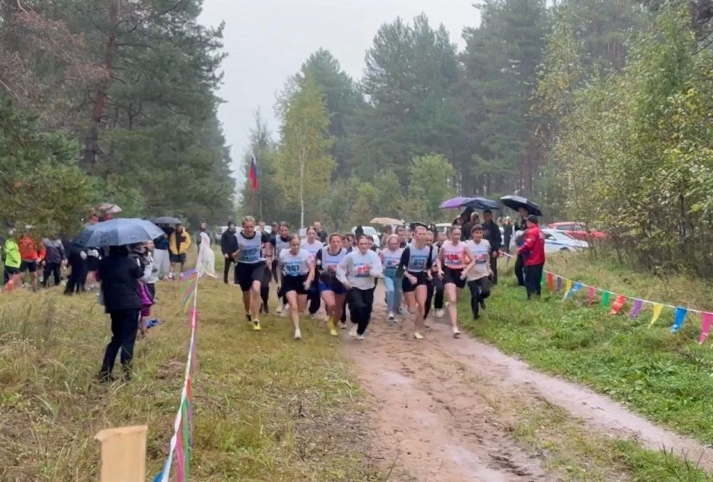 В Камешково прошел лично командный чемпионат УМВД России по Владимирской области по легкоатлетическому кроссу, посвященный памяти погибшего при исполнении служебных обязанностей старшины милиции Николая Сизинцева В Камешково прошел лично командный чемпионат УМВД России по Владимирской области по легкоатлетическому кроссу, посвященный памяти погибшего при исполнении служебных обязанностей старшины милиции Николая Сизинцева