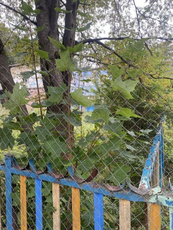 В Кольчугино прокурор добился ограждения аварийного здания в центре города В Кольчугино прокурор добился ограждения аварийного здания в центре города