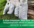 В августе во Владимирской области проведён первый этап межведомственной комплексной оперативно-профилактической операции «Мак-2026»