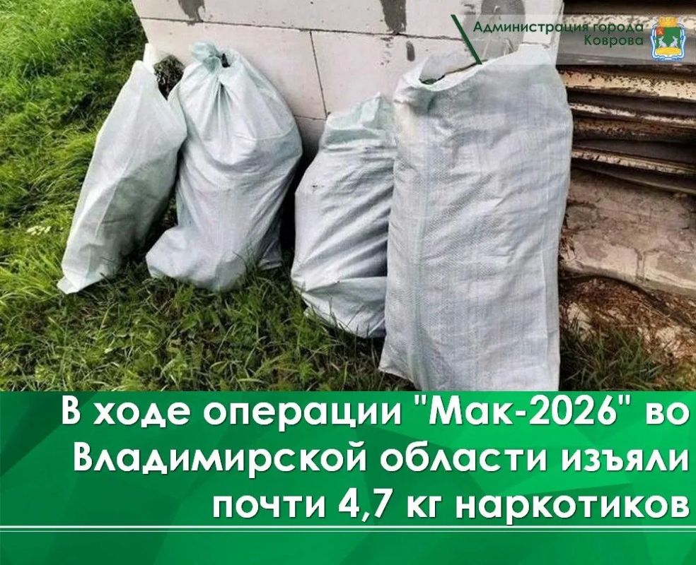 В августе во Владимирской области проведён первый этап межведомственной комплексной оперативно-профилактической операции «Мак-2026»