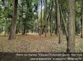 В Юрьев-Польском округе благоустраивают старинный парк в усадьбе Голицыных
