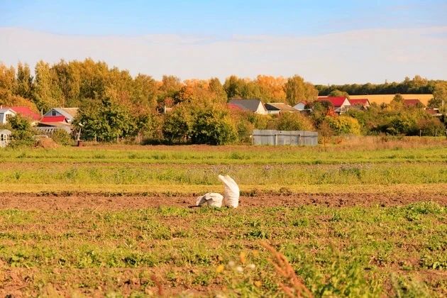 Золотая осень в объективе нашего фотокорреспондента Кристины Ситниковой Золотая осень в объективе нашего фотокорреспондента Кристины Ситниковой